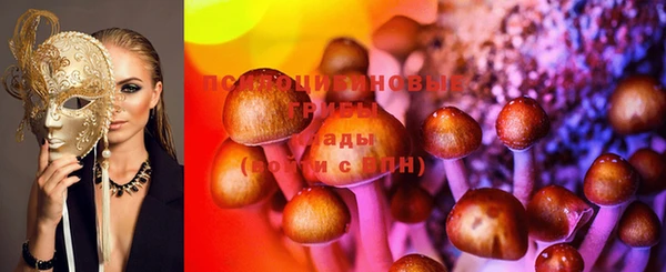 спайс Алексеевка