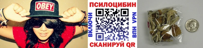 наркота  Курск  omg сайт  Галлюциногенные грибы ЛСД 